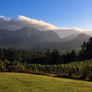 回忆的时候你会不会哭