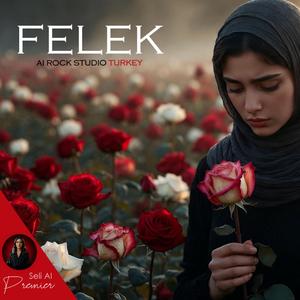 Felek