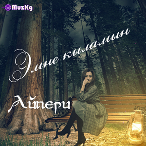 Эмне кыламын