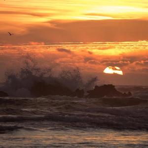 《南方姑娘》吉他指弹