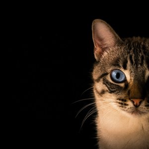 Madone, I Hate My Dad