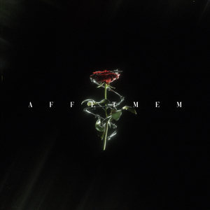 AFFETMEM
