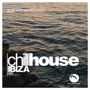 Chill House Ibiza 2020 (Continuous DJ Mix)
