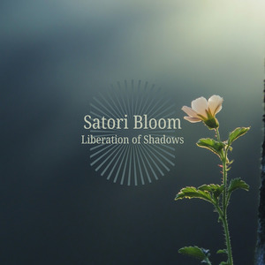 Liberation of Shadows