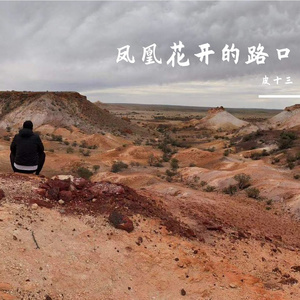 凤凰花开的路口 口琴版