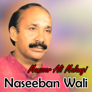 Naseeban Wali