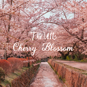 Jazz Road to Cherry Blossom