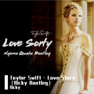 Taylor Swift - Love Story （Ricky Edit）