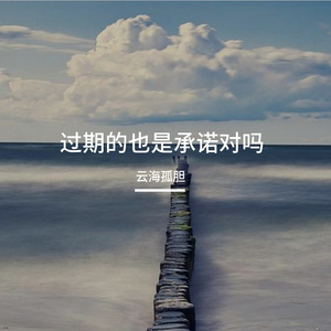 过期的也是承诺对吗