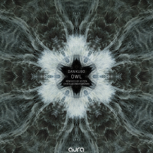 Owl (Dan Kubo Night Bird Mix)