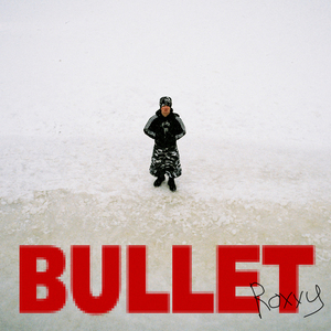 Bullet