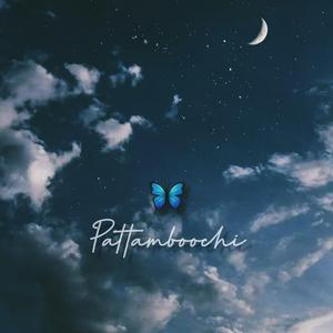 Pattamboochi