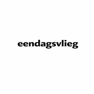 Eendagsvlieg