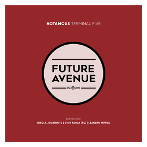 Terminal Five (Nikola Jovanovic Remix)