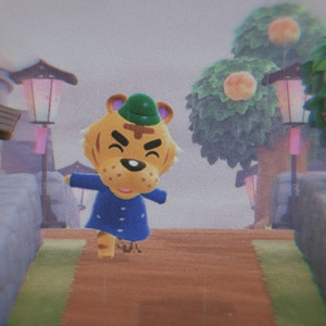 Rainy Days on the Island with Tybalt