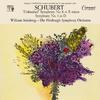 Pittsburgh Symphony Orchestra - Symphony No. 3 in D Major, D. 200:I. Adagio maestoso - Allegro con brio