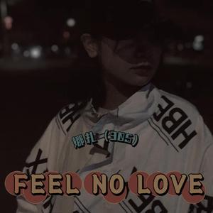 Feel No Love
