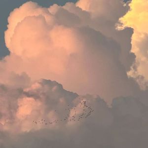 我想你了 （prod by FRESH_ye）