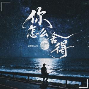 你怎么舍得(让我独自流泪)