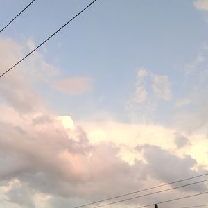 锦鲤抄