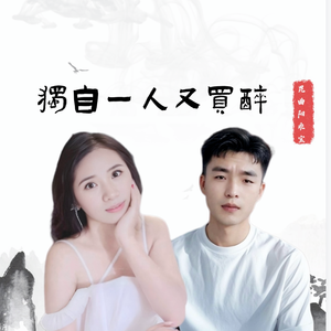 独自一人又买醉 伴奏