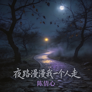 夜路漫漫我一个人走
