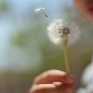 你明明曾那么骄傲 田园