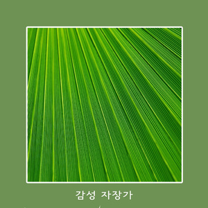 따뜻한 수면음악 (숙면유도)