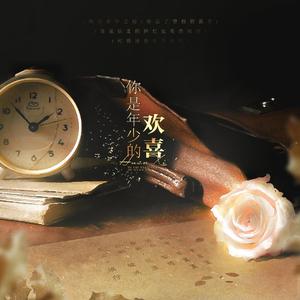 你是年少的欢喜