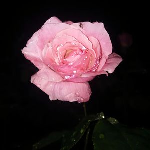 [FREE]“晚霞”Boombap/Soul/叙事/Emo Type Beat