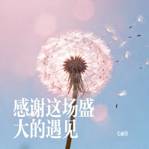 感谢这场盛大的遇见