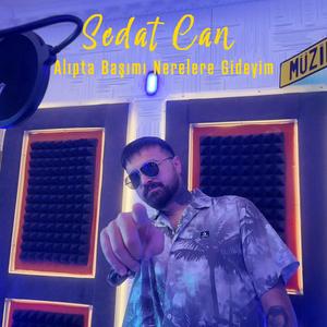 Alıpta başımı nerelere gideyim (sen söyle)