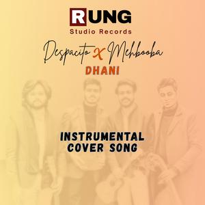 Despacito x Mehbooba