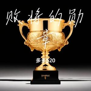 败将的勋章