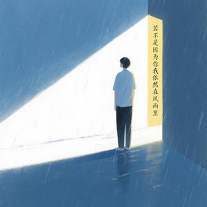 若不是因为你我依然在风雨里