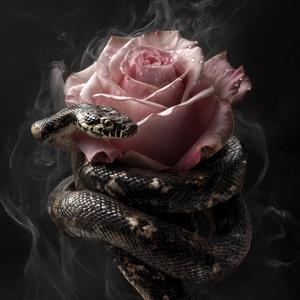 Serpent's Whisper (Dance Trance)