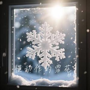 慢动作的雪花