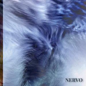 NERVO
