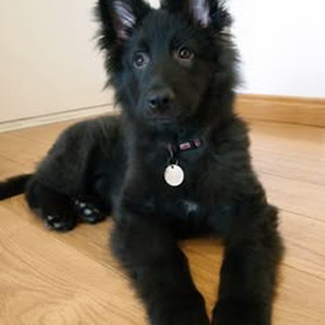 Both Eyes Closed " (slowed)