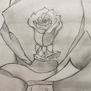 十月有感（prod.金桔0RANG3）