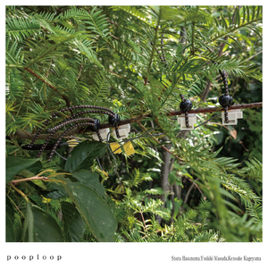 Feedback "variation" & Sheet Vibration