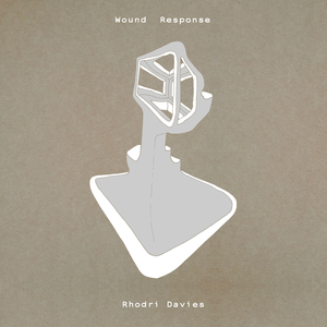 a parallel or mirroring space