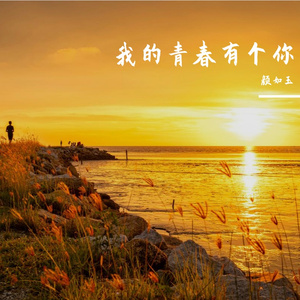 我的青春有个你