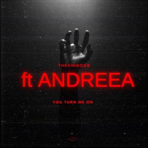 You Turn Me On • (OCB MIX ULTRA BOOSTED) (feat. Andreea D) (Mastered and Remixed Version)