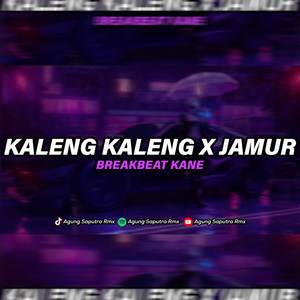 DJ KALENG KALENG BREAKBEAT X JAMUR JANDA MUDA DIBAWAH UMUR