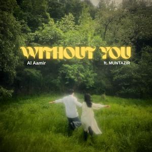 Without You (feat. Muntazir)