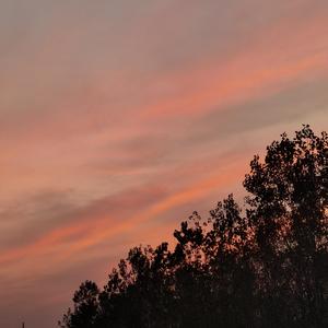 浪漫主义(Cover：姜云升)