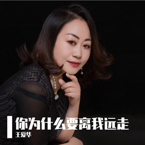 你为什么要离我远走