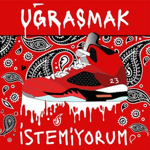 Uğraşmak istemiyorum