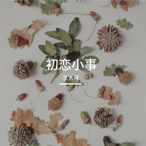 初恋小事